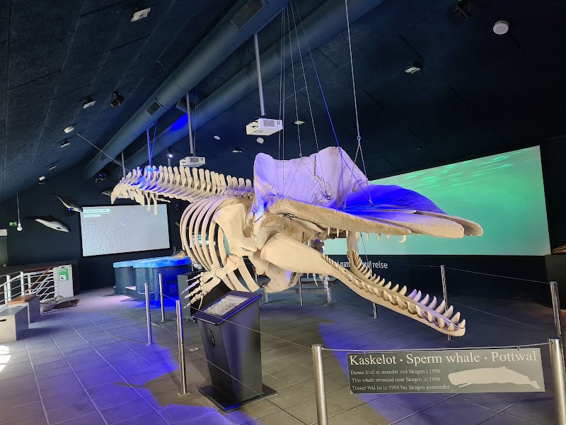 Johannes Larsen Museum - Kerteminde - Denmark - booked ai