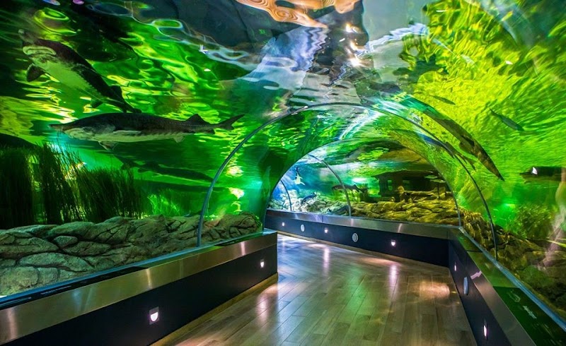 Visit the Lithuanian Sea Museum and Dolphinarium - Klaipėda - Lithuania - booked ai