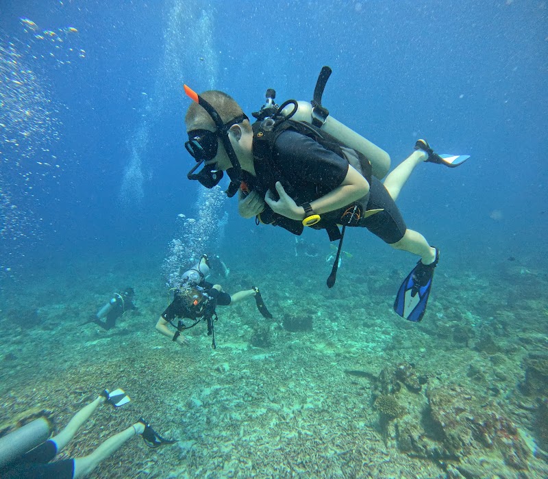Similan Islands Snorkeling - Khao Lak - Thailand - booked ai