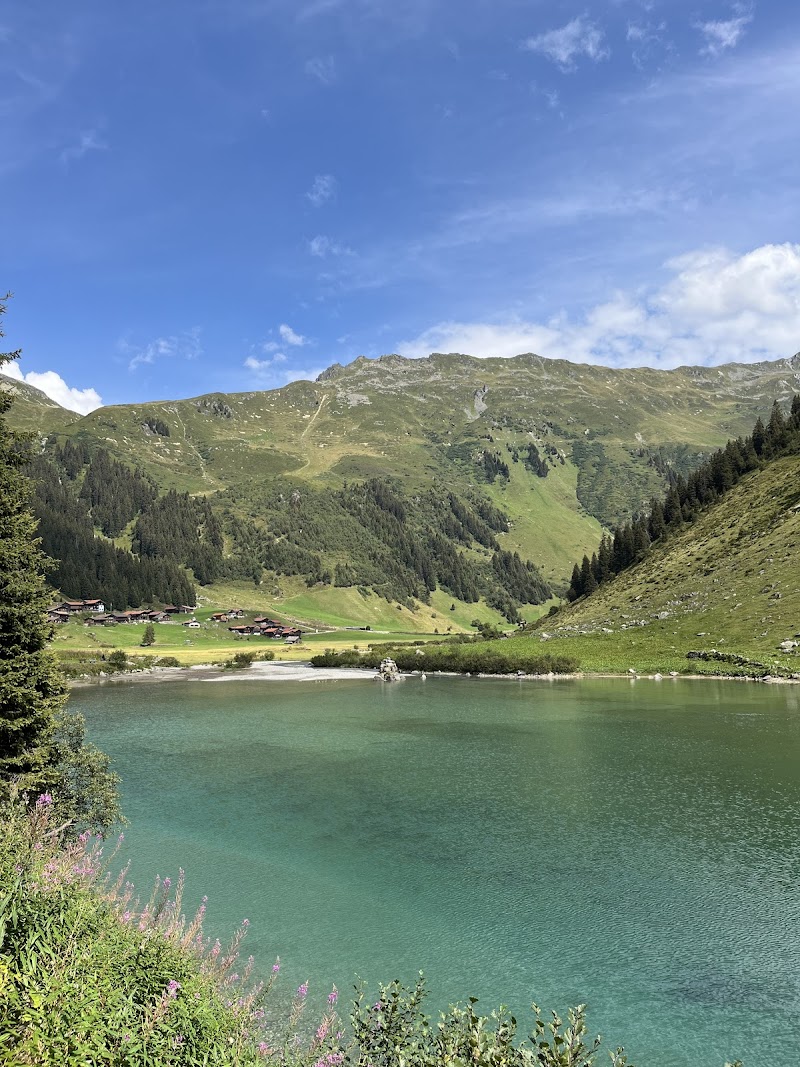 Berghaus Erika - Klosters-Serneus - Switzerland - booked ai