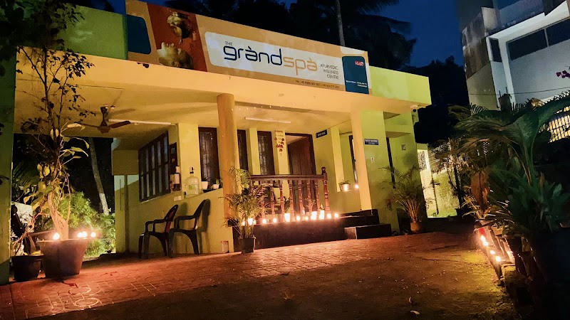 Experiencing an Ayurvedic Spa Treatment - Thiruvananthapuram - India - booked ai