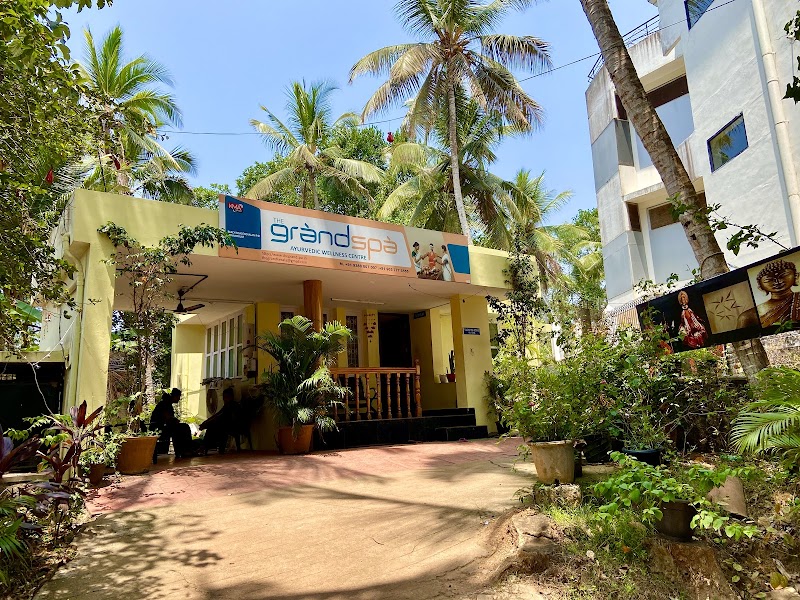 Experiencing an Ayurvedic Spa Treatment - Thiruvananthapuram - India - booked ai