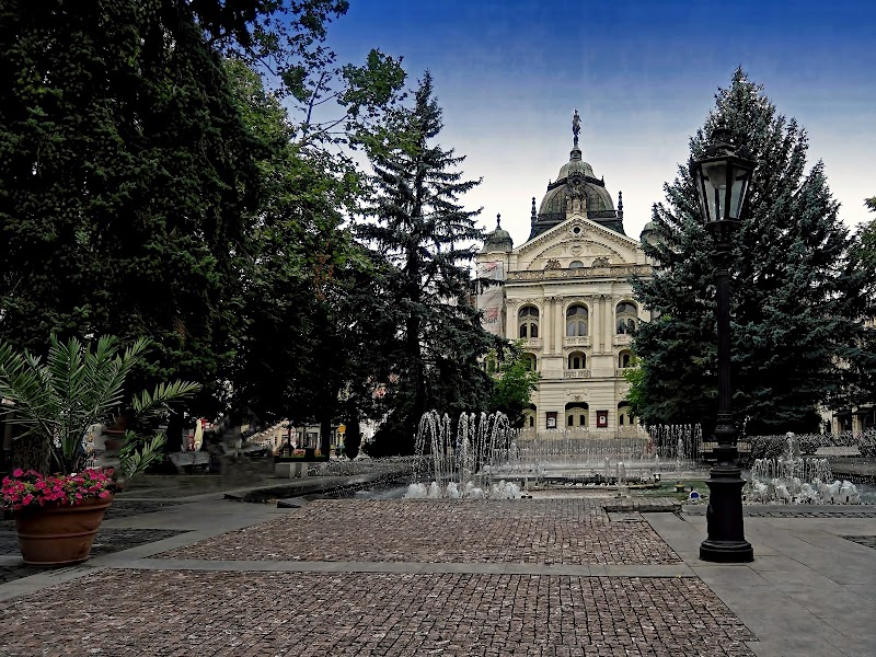 Enjoy the Košice State Theatre and Singing Fountain - Košice - Slovakia - booked ai
