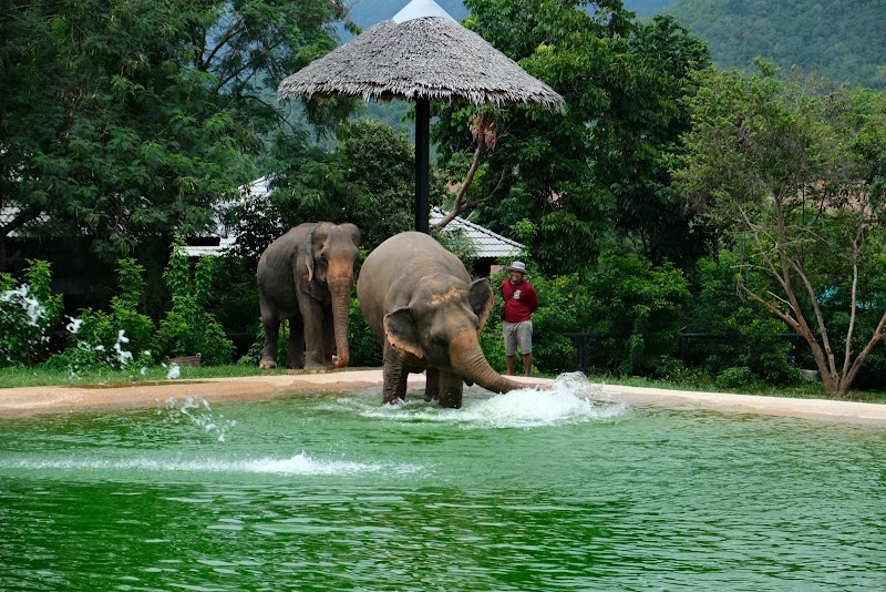 Samui Elephant Sanctuary - Ko Samui - Thailand - booked ai