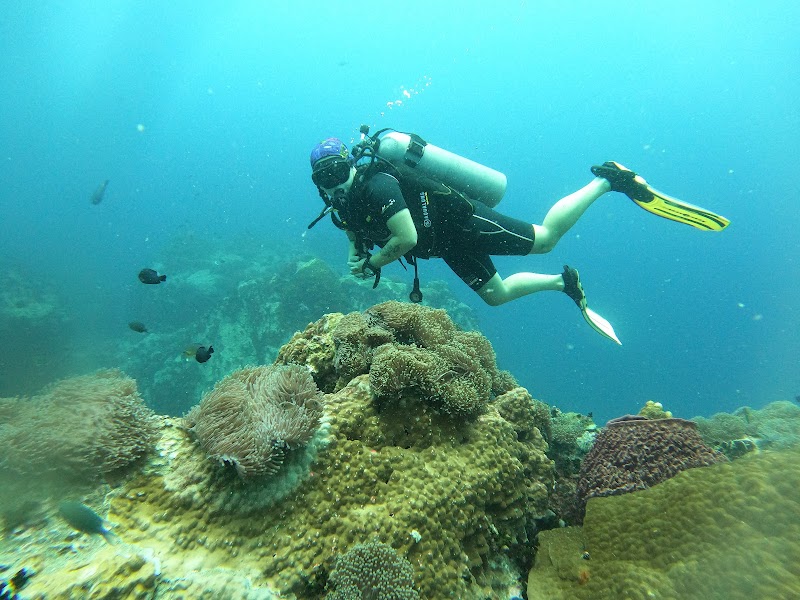 Ang Thong National Marine Park - Ko Samui - Thailand - booked ai