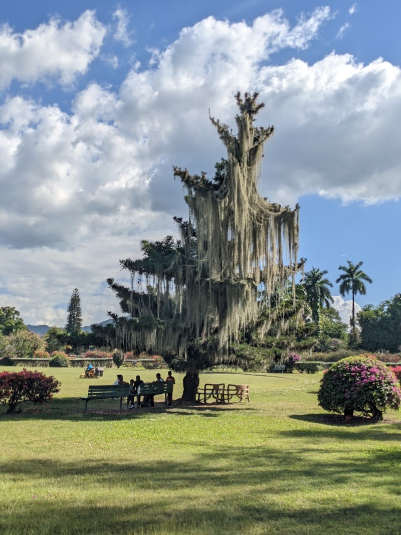 Emancipation Park - Kingston - Jamaica - booked ai