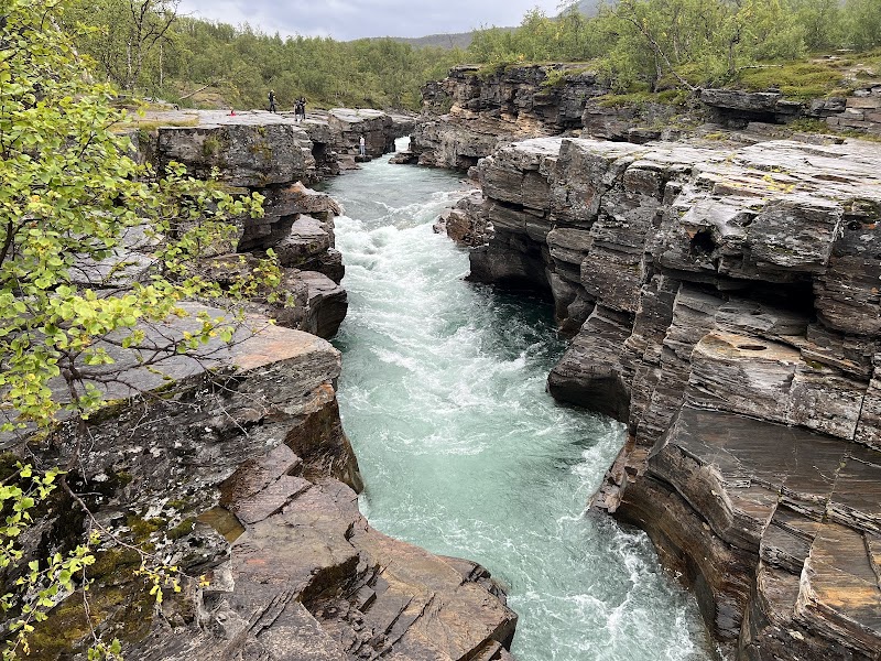 Explore Abisko National Park - Kiruna - Sweden - booked ai