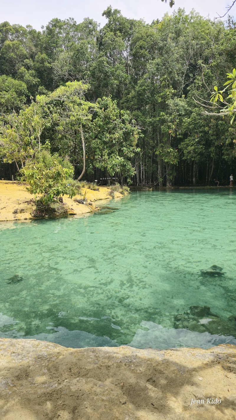 Exploring the Emerald Pool and Hot Springs - Khlong Thom Nuea - Thailand - booked ai