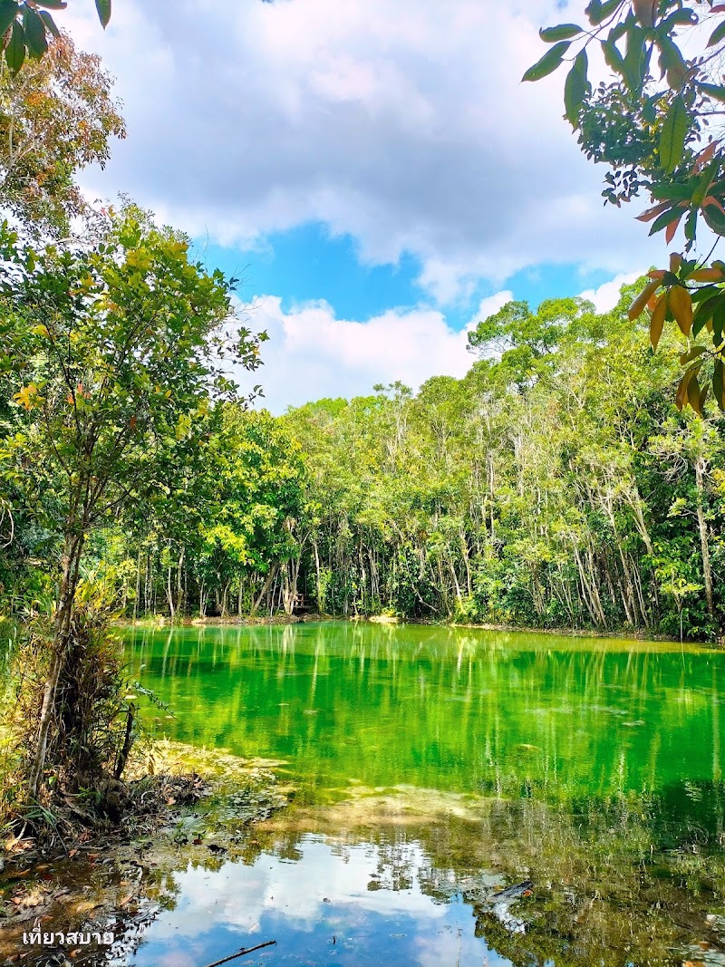 Exploring the Emerald Pool and Hot Springs - Khlong Thom Nuea - Thailand - booked ai