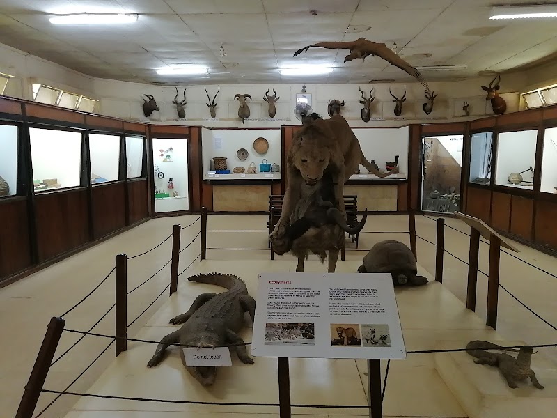 Tour the Kisumu Museum - Kisumu - Kenya - booked ai