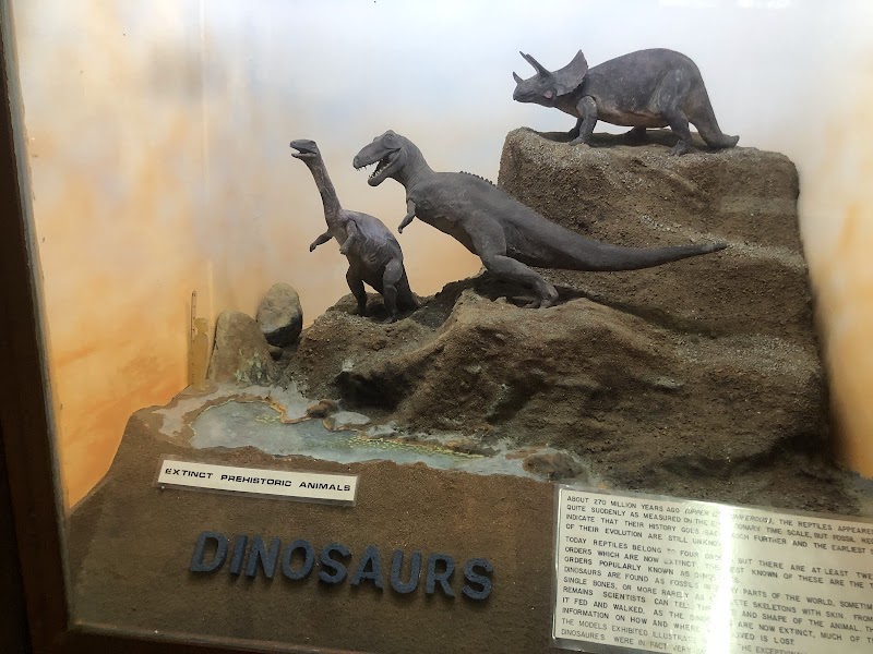 Tour the Kisumu Museum - Kisumu - Kenya - booked ai