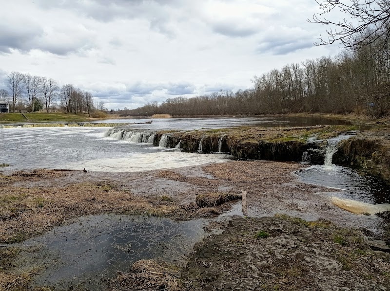 Visit Venta Rapid Waterfall (Ventas Rumba) - Kuldīga - Latvia - booked ai