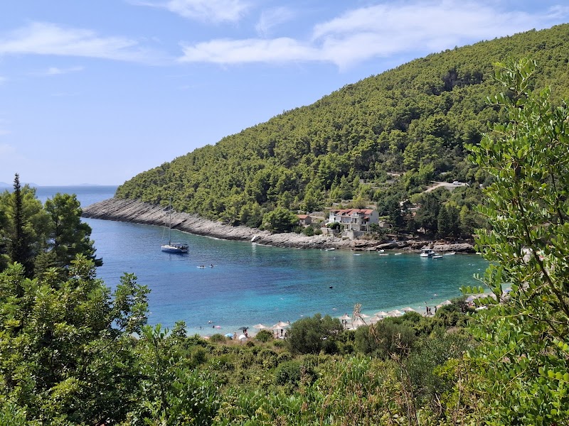 Swim and relax at Pupnatska Luka Beach - Pupnat - Croatia - booked ai