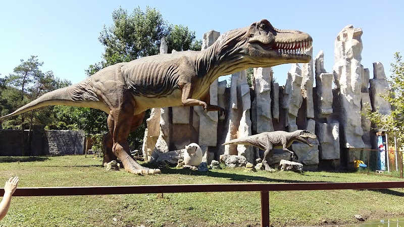 Safari Park - Krasnodar - Russia - booked ai