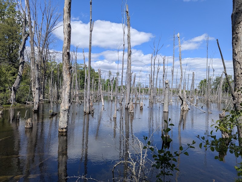 Huron Natural Area - Kitchener - Canada - booked ai