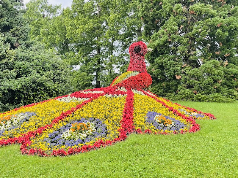 Visit the Mainau Island (Flower Island) - Konstanz - Germany - booked ai