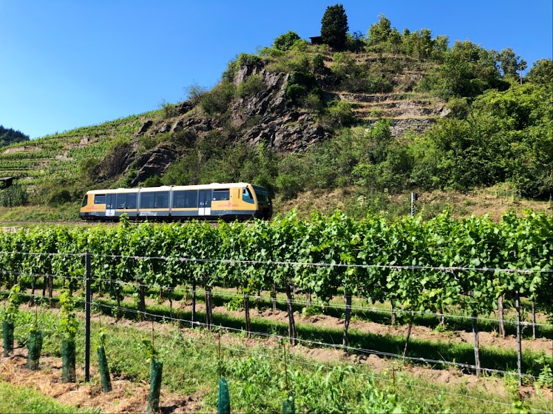 Wachau Valley Wine Tour - Dürnstein - Austria - booked ai