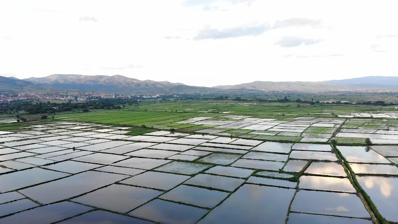 Explore Kočani Rice Fields - Kočani - North Macedonia - booked ai