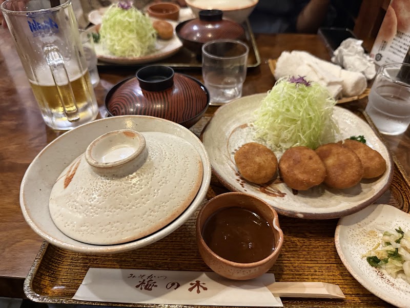 Misokatsu Umenoki - Kurashiki - Japan - booked ai