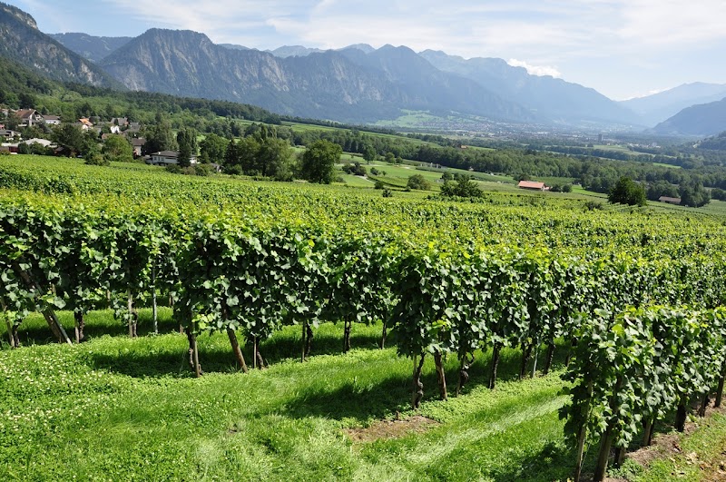 Heidiland Tour from Landquart - Bad Ragaz - Switzerland - booked ai