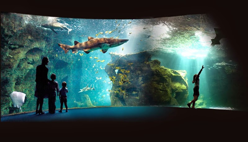 Discover the La Rochelle Aquarium - La Rochelle - France - booked ai