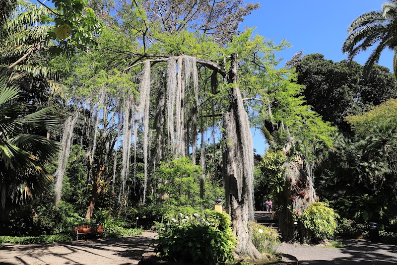 Explore the La Orotava Botanical Garden (Jardín Victoria) - Puerto de la Cruz - Spain - booked ai