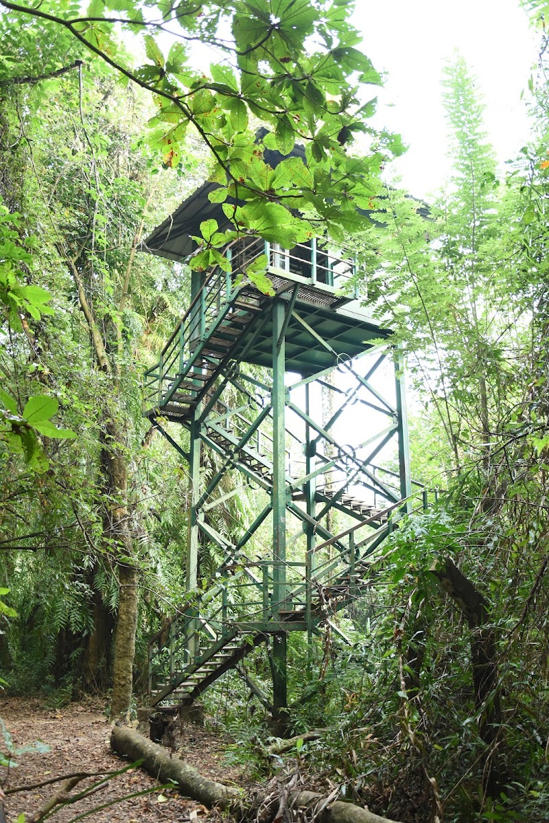 Visit Kumarakom Bird Sanctuary - Kumarakom - India - booked ai