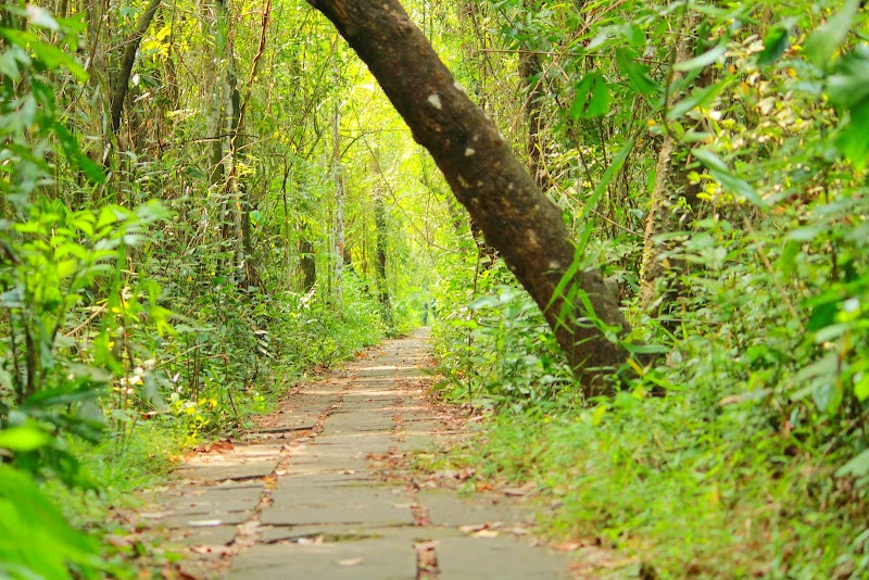 Visit Kumarakom Bird Sanctuary - Kumarakom - India - booked ai