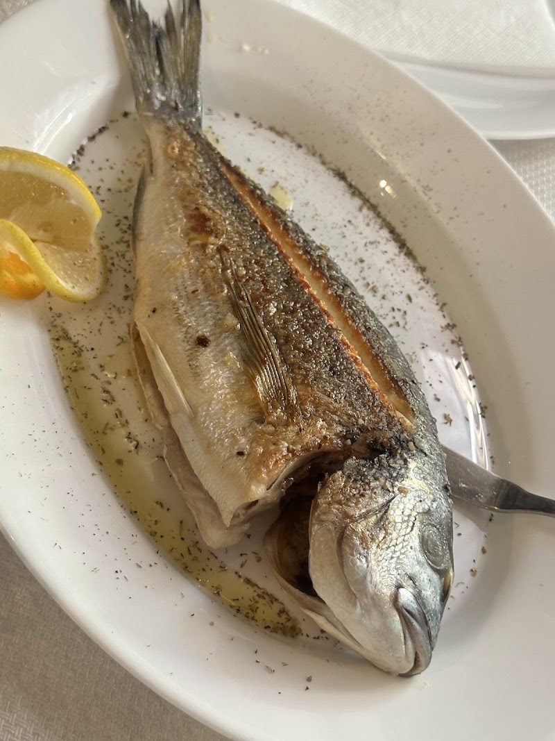 Sidro Fish Restaurant - Skopje - North Macedonia - booked ai