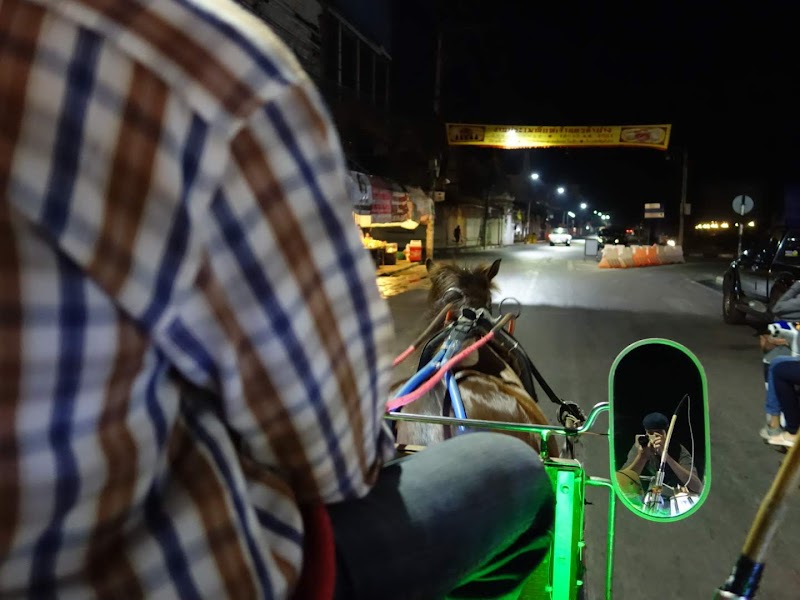 Horse-Drawn Carriage Tour of Lampang City - Lampang - Thailand - booked ai