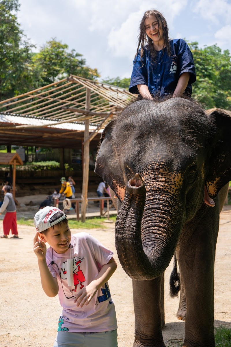 Lampang Elephant Conservation Center - Lampang - Thailand - booked ai