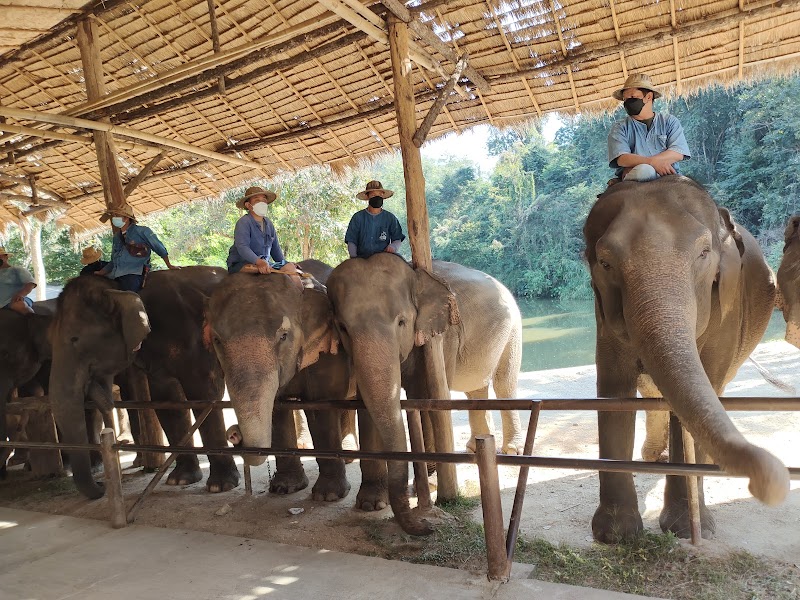 Lampang Elephant Conservation Center - Lampang - Thailand - booked ai