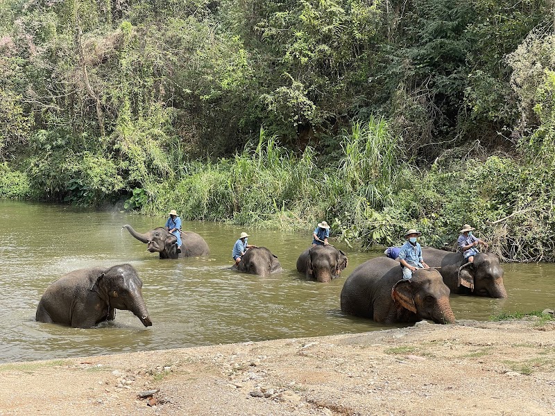 Lampang Elephant Conservation Center - Lampang - Thailand - booked ai