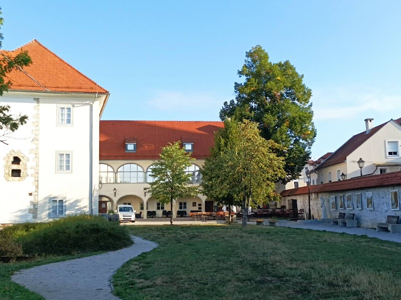 Discover the Khislstein Castle and Museum - Kranj - Slovenia - booked ai
