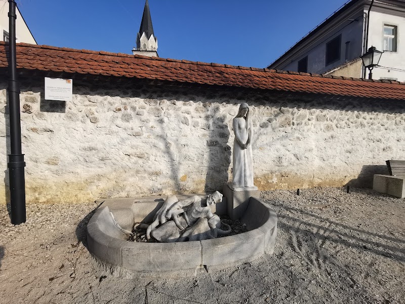 Discover the Khislstein Castle and Museum - Kranj - Slovenia - booked ai