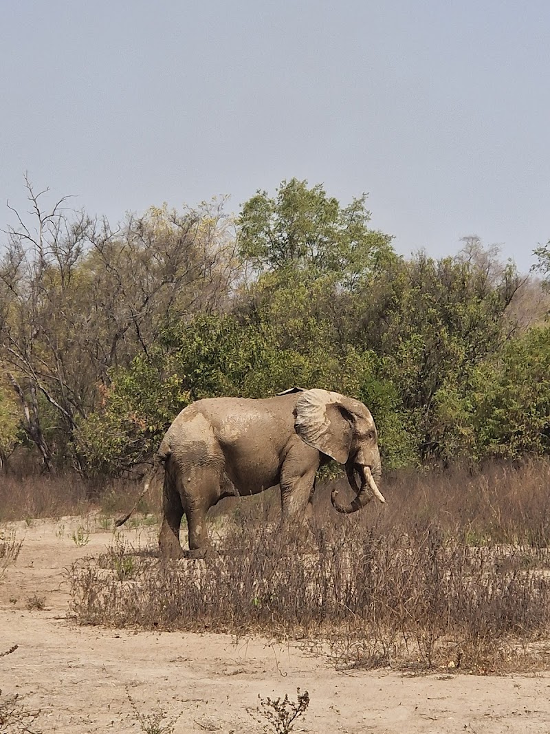 Explore Mole National Park - Larabanga - Ghana - booked ai