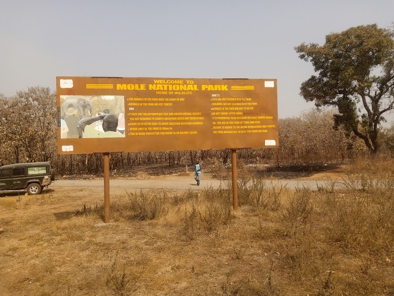 Explore Mole National Park - Larabanga - Ghana - booked ai