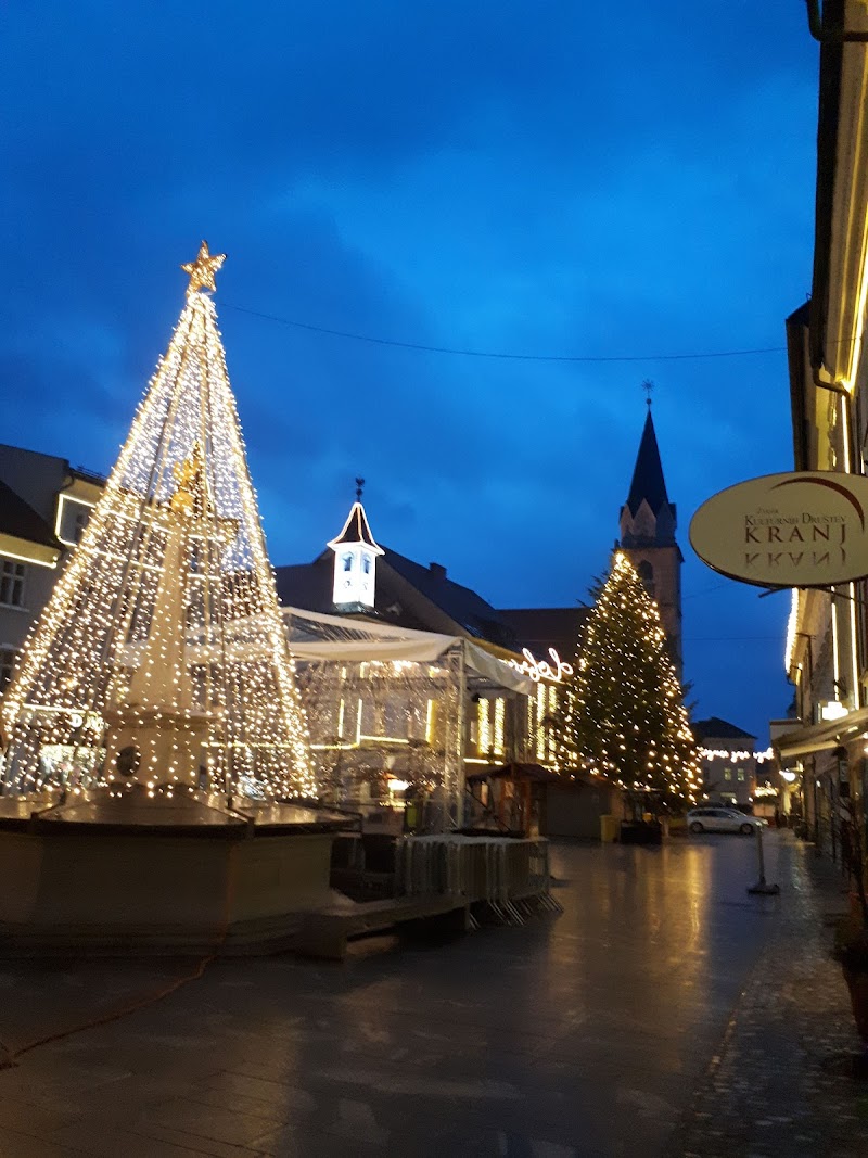 Explore the Old Town of Kranj - Kranj - Slovenia - booked ai