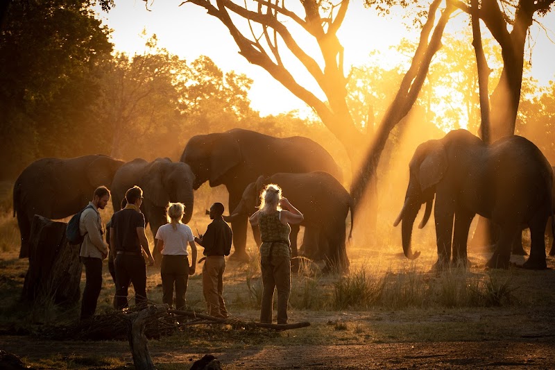 The Elephant Café - Livingstone - Zambia - booked ai