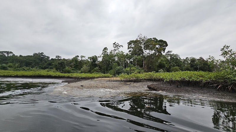 Explore Akanda National Park - Libreville - Gabon - booked ai