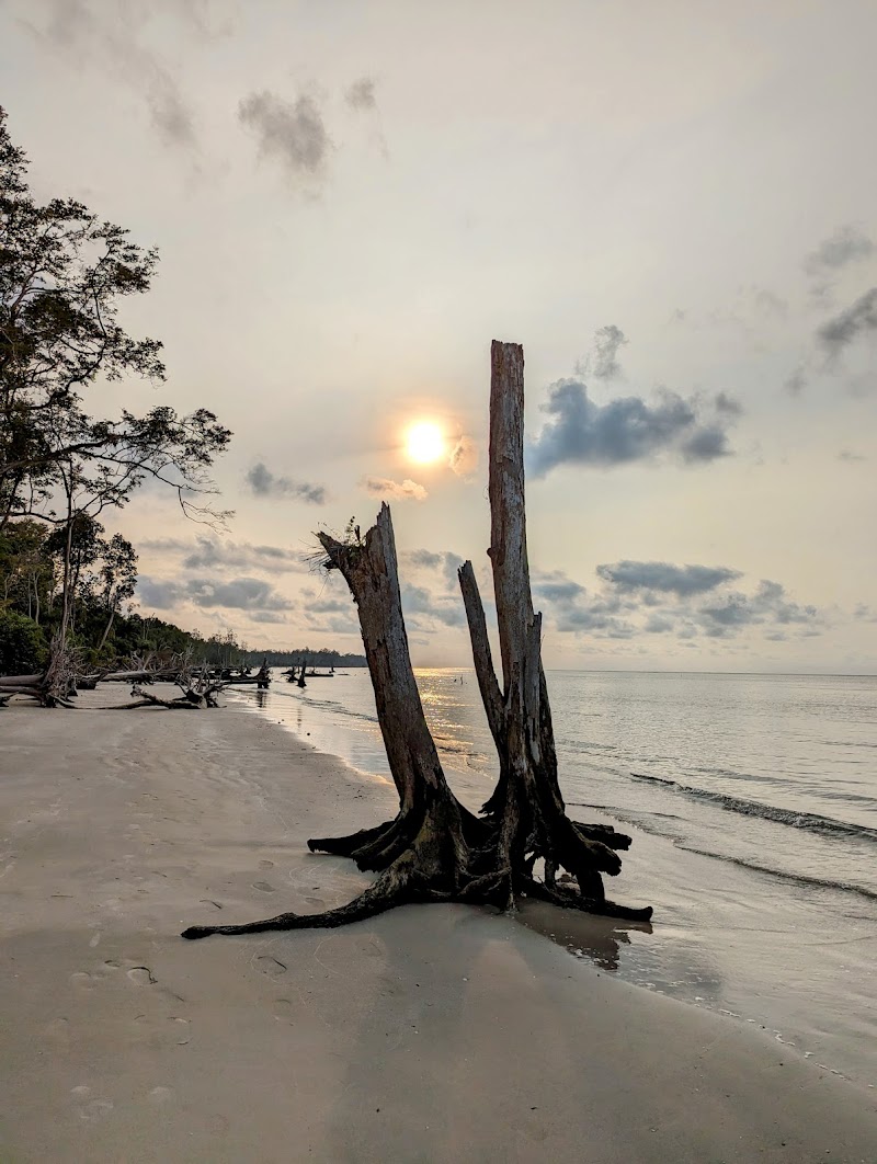 Explore Akanda National Park - Libreville - Gabon - booked ai