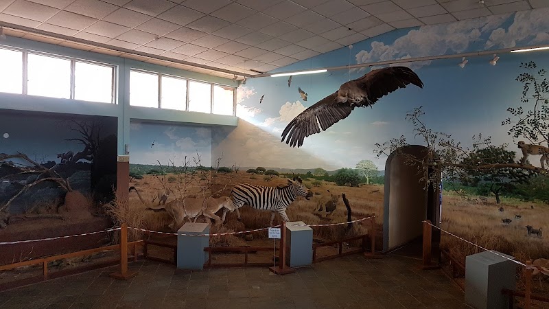 Tour the National Museum of Eswatini - Lobamba - Eswatini - booked ai