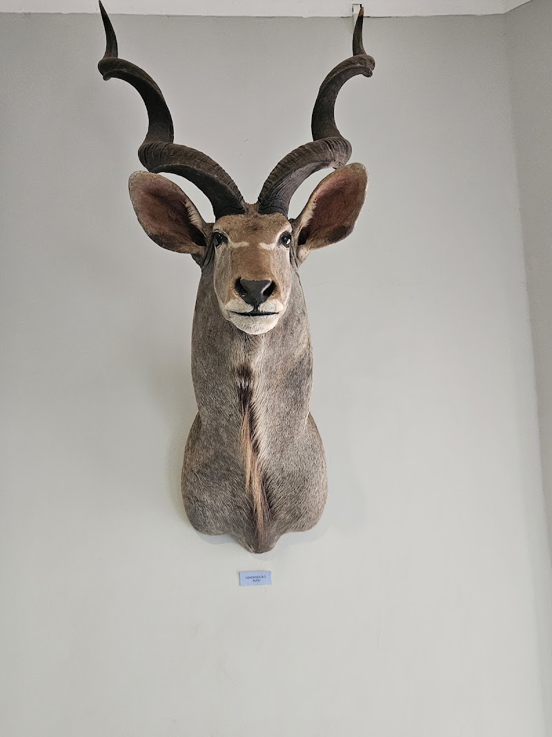 Tour the National Museum of Eswatini - Lobamba - Eswatini - booked ai