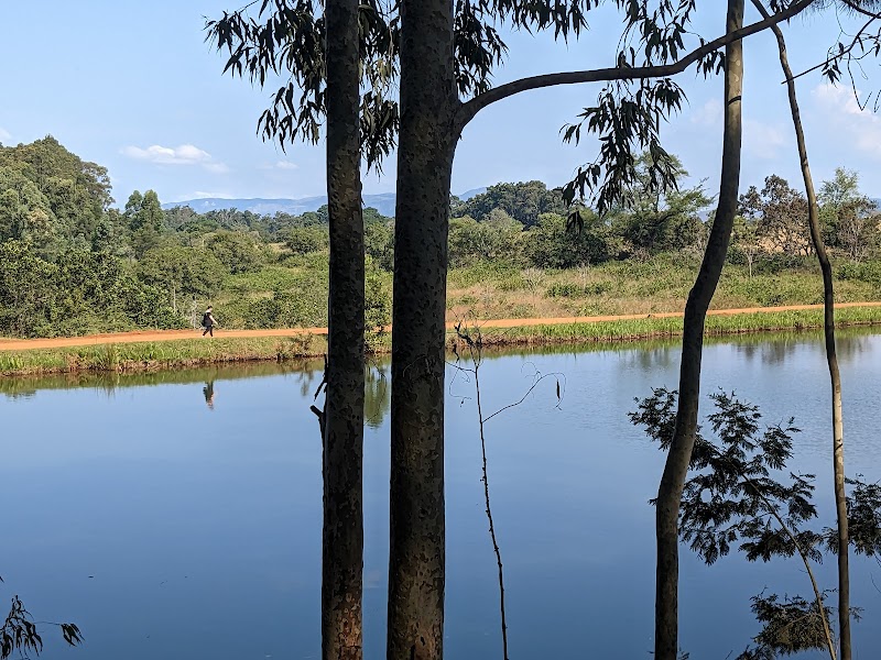 Mlilwane Wildlife Sanctuary Rest Camp - Lobamba - Eswatini - booked ai