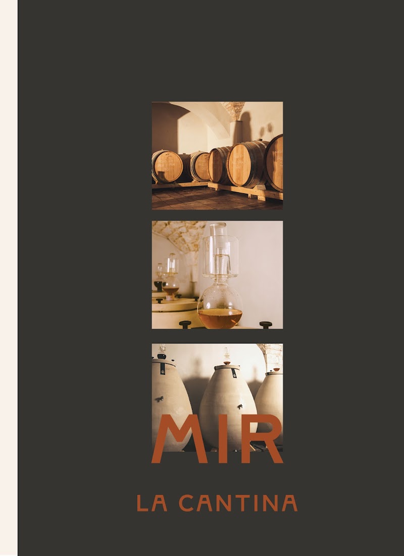 Take a Wine Tour in the Valle d'Itria - Locorotondo - Italy - booked ai