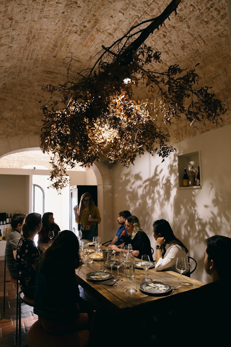 Take a Wine Tour in the Valle d'Itria - Locorotondo - Italy - booked ai