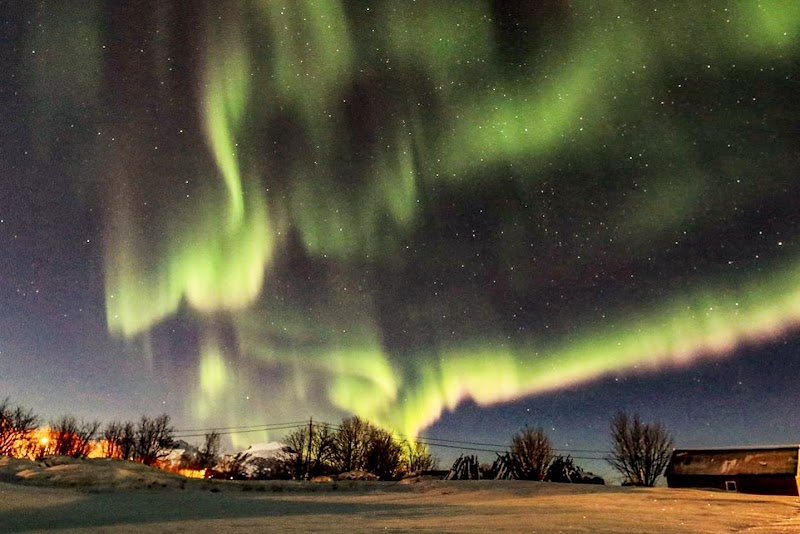 Northern Lights watching - Svolvær - Norway - booked ai