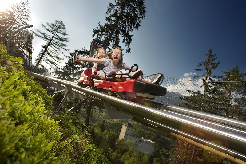 Ride the Osttirodler Alpine Coaster - Lienz - Austria - booked ai