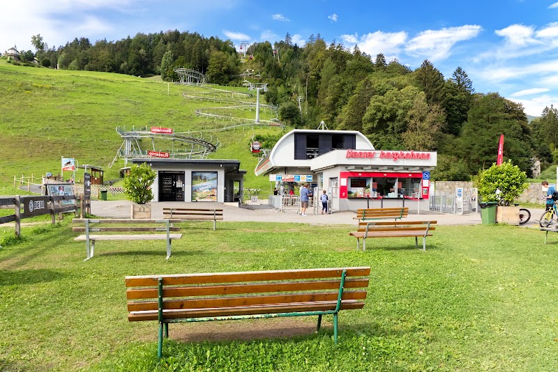Ride the Osttirodler Alpine Coaster - Lienz - Austria - booked ai