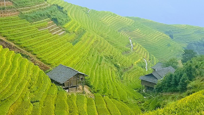 Experience Traditional Yao and Zhuang Culture - Guilin - China - booked ai